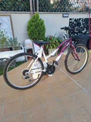 Bicicleta Mountain Series 50 MTB