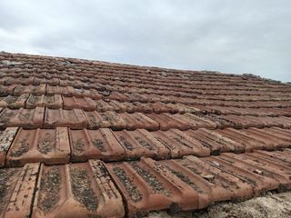 Teja Alicantina 35m2, negociable