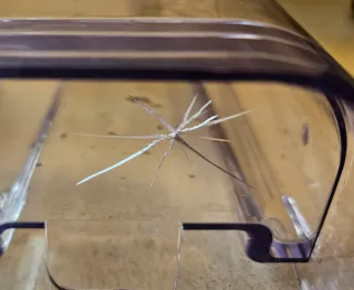 ☕ Cafetera HiBREW H5 + Kit Barista Pro