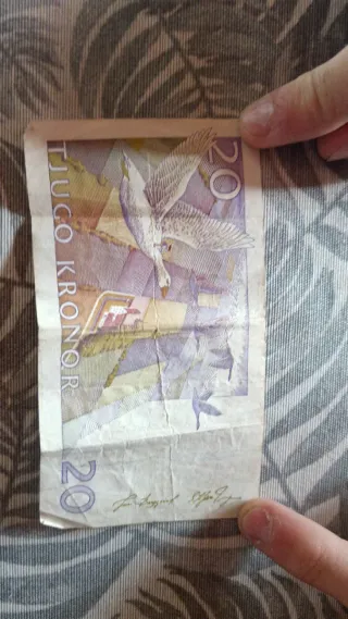 Billete Sueco 20 Coronas Antiguo