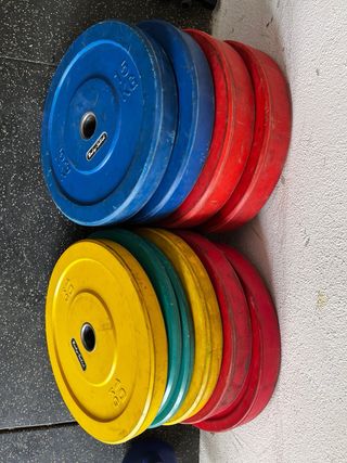 Barras olímpicas y discos