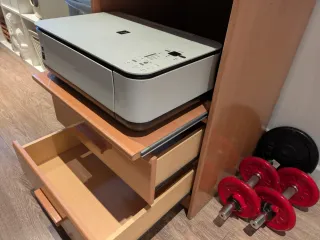 Impresora/escaner Canon prixma M250.