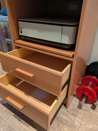 Impresora/escaner Canon prixma M250.