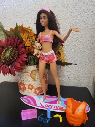 Muñeca Barbie Malibu con Accesorios