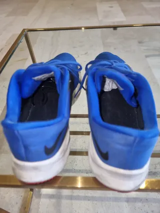 Zapatillas Nike Running Azules