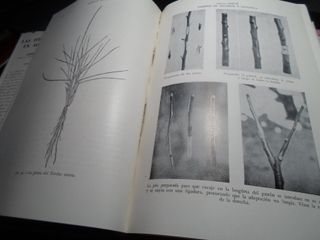 SALDO - Collezione di 7 Libri Agricoli Salvat 1953