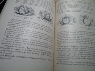 SALDO - Collezione di 7 Libri Agricoli Salvat 1953