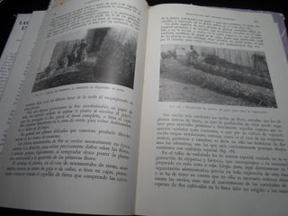 SALDO - Collezione di 7 Libri Agricoli Salvat 1953