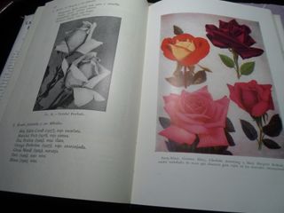 SALDO - Collezione di 7 Libri Agricoli Salvat 1953