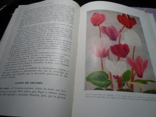 SALDO - Collezione di 7 Libri Agricoli Salvat 1953