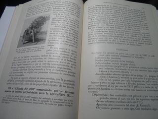 SALDO - Collezione di 7 Libri Agricoli Salvat 1953
