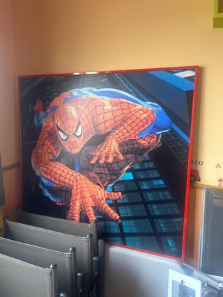 Cuadro Decorativo Spider-Man