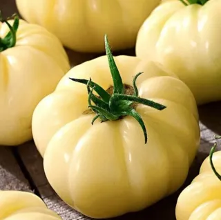 Semillas de tomate "Gran Ciruela"(10 unidades)