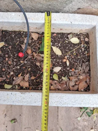 Jardinera de piedra blanca