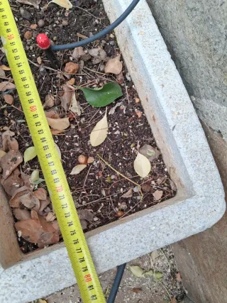 Jardinera de piedra blanca