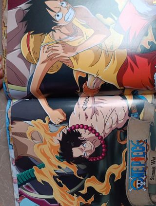 Album figurine One Piece Summit War