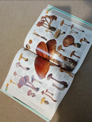 El libro de la Naturaleza