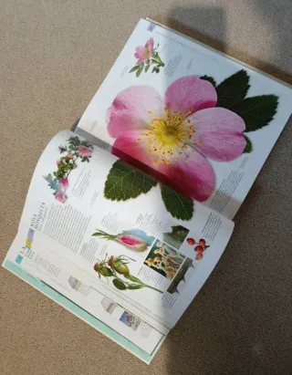 El libro de la Naturaleza