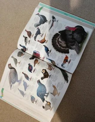 El libro de la Naturaleza