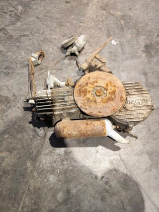 Motor Mosquito