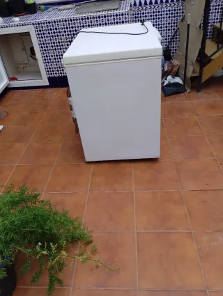 Arcón Frigorífico IGNIS Blanco