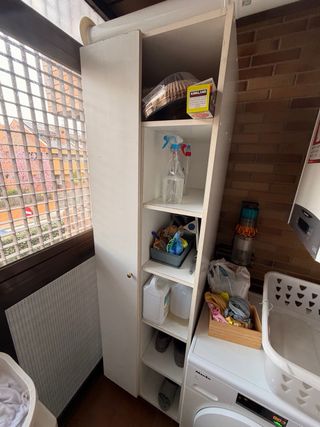 Armario de servicio tendedero de 210 de alto