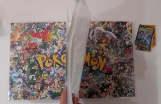 Álbum Archivador para 720 cartas Pokémon (vacío)