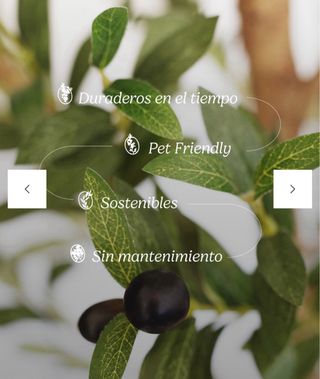 Olivo artificial diseño