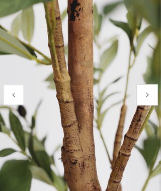 Olivo artificial diseño