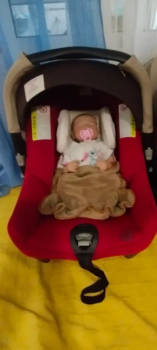 Trío Jané Rider (3 en 1) Edición Especial Elefante