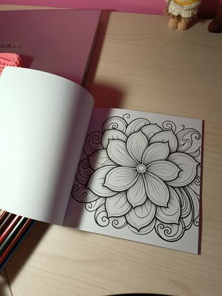 2 Libri Mandala + 36 Colori + Gomma