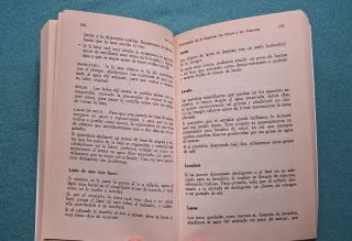 Libo: Diccionario de la limpieza.. de Ana Torán