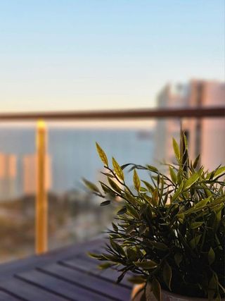 Piso en alquiler en Pueblo Poniente en Benidorm