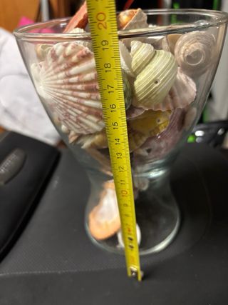 Vaso decorativo con conchiglie