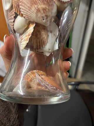 Vaso decorativo con conchiglie