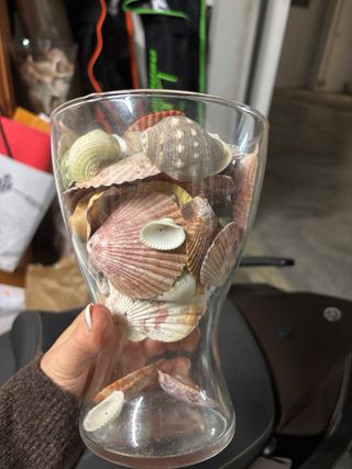 Vaso decorativo con conchiglie