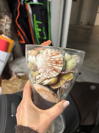 Vaso decorativo con conchiglie