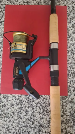 Caña de pesca y carrete