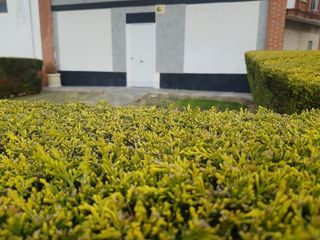 Local comercial en venta en Haro