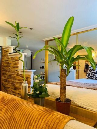 Piso en venta en Hellín en Madrid