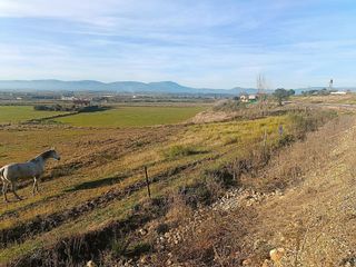Terreno en venta en Moraleja