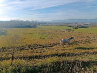 Terreno en venta en Moraleja