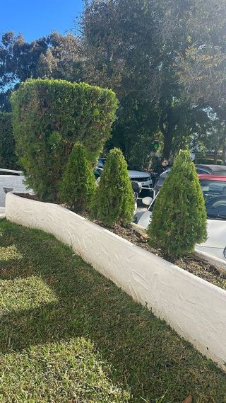 Local comercial en alquiler en Lomas de Marbella Club - Puente Romano en Marbella