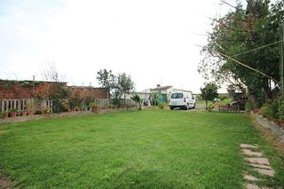 Terreno en venta en Gibraleón