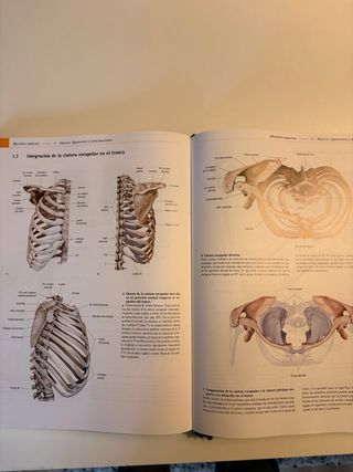 Texto y Atlas de Anatomia Prometheus Tomo 1