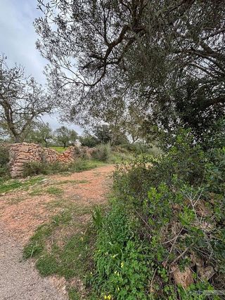 Solar en venta en Llucmajor Interior en Llucmajor