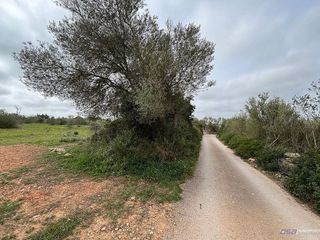 Solar en venta en Llucmajor Interior en Llucmajor