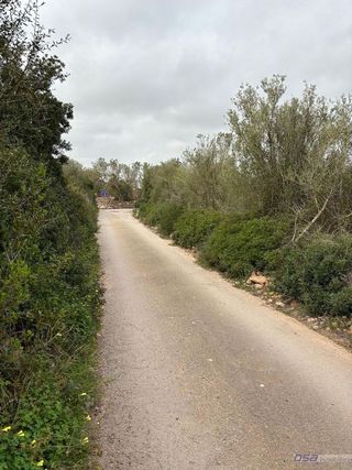 Solar en venta en Llucmajor Interior en Llucmajor