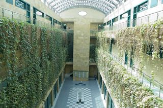 Oficina en alquiler en El Juncal - Av. de la Paz en Sevilla