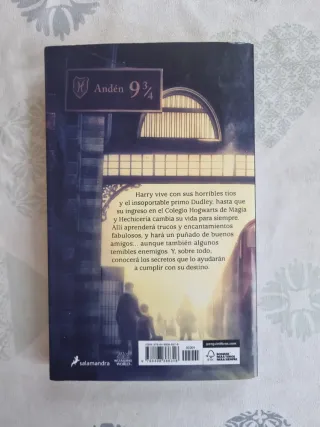 Harry Potter y la piedra filosofal (Harry Potte...